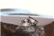 LASHBROOK DESIGNS Cobalt & Meteorite Wedding Band Crater