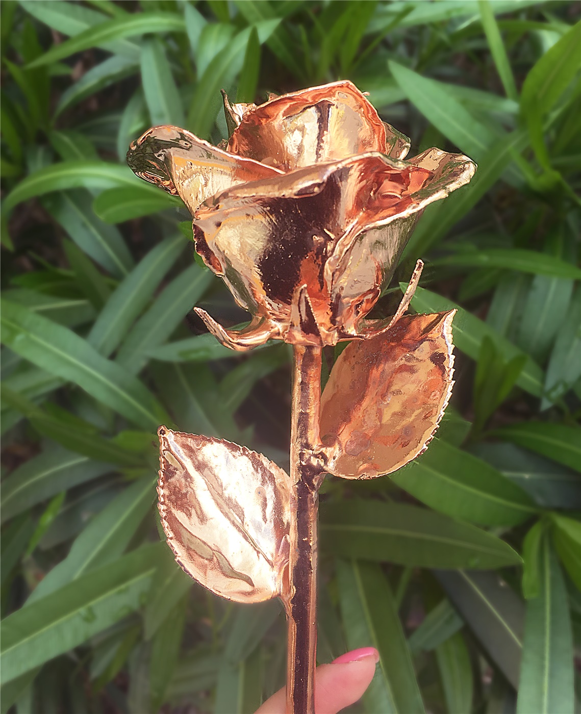 gold dipped rose